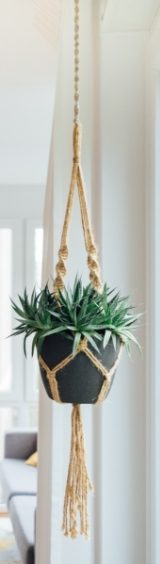 paul-hanaoka-483071-unsplash